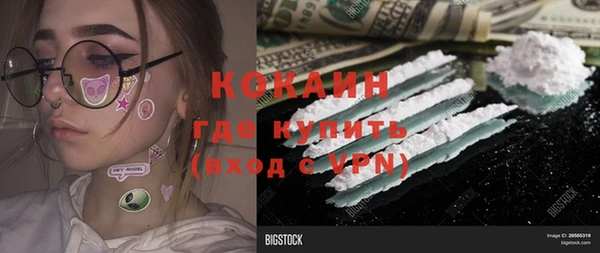 сатива Новокубанск