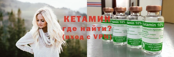 сатива Новокубанск