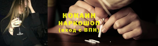 дживик Новодвинск