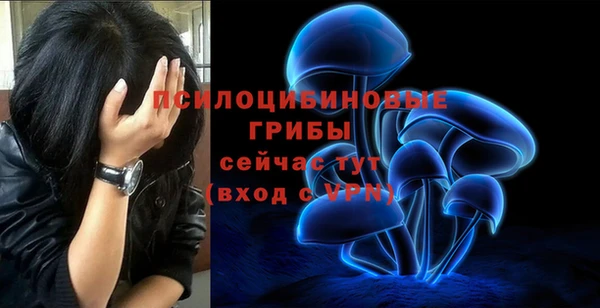 mdpv Нефтегорск