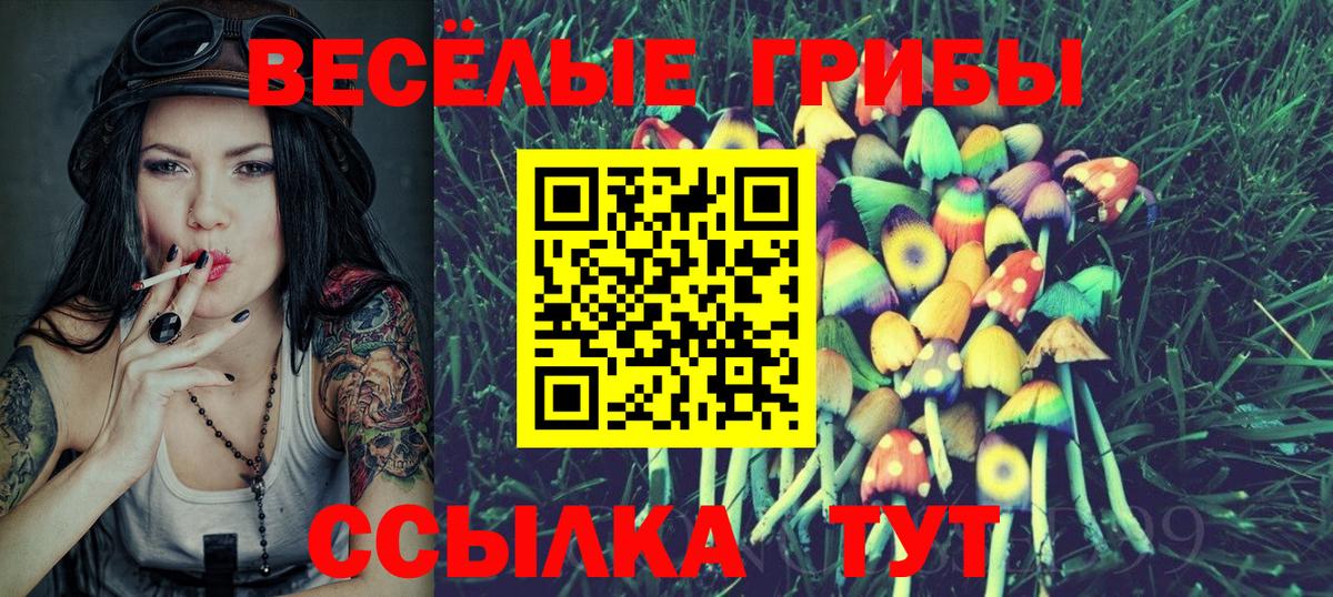 Галлюциногенные грибы GOLDEN TEACHER  Галлюциногенные грибы мицелий  Вход с VPN  Борзя 