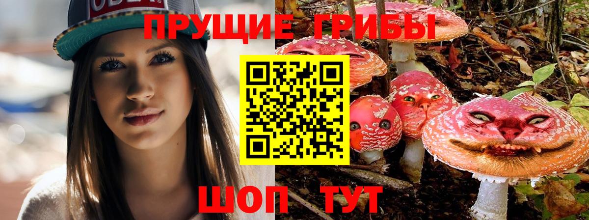 Псилоцибиновые грибы ЛСД Борзя