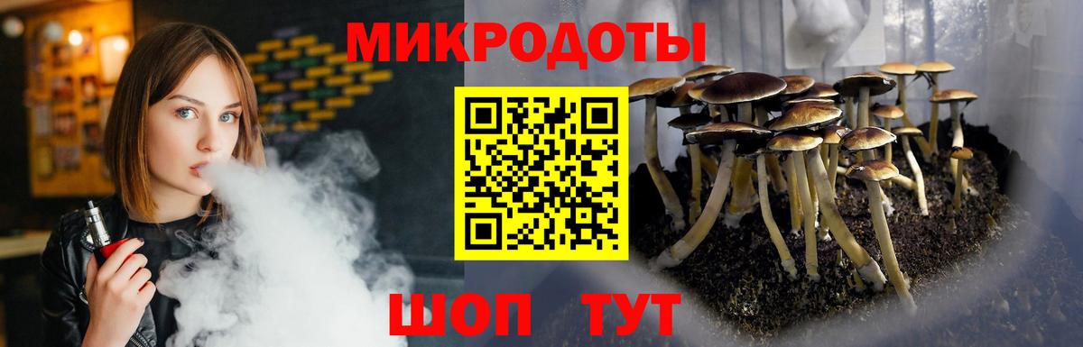 Псилоцибиновые грибы GOLDEN TEACHER Борзя
